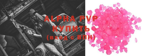 стаф Новодвинск