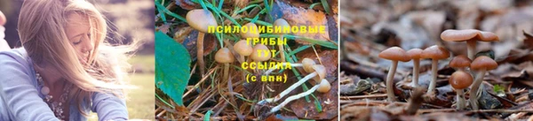 каннабис Нефтегорск