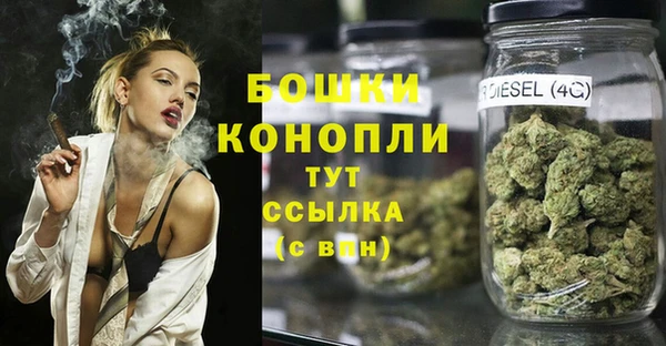 стаф Новодвинск