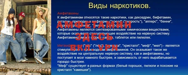 2c-b Новозыбков