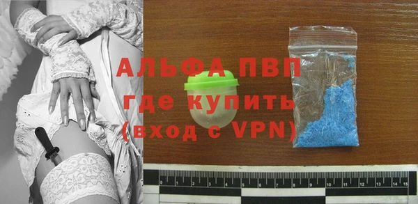 стаф Новодвинск