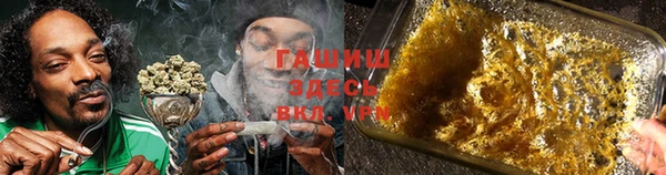 стаф Новодвинск
