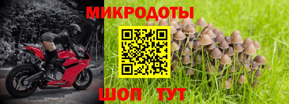 Кохма  Галлюциногенные грибы прущие грибы  дарнет шоп  Вход с VPN 
