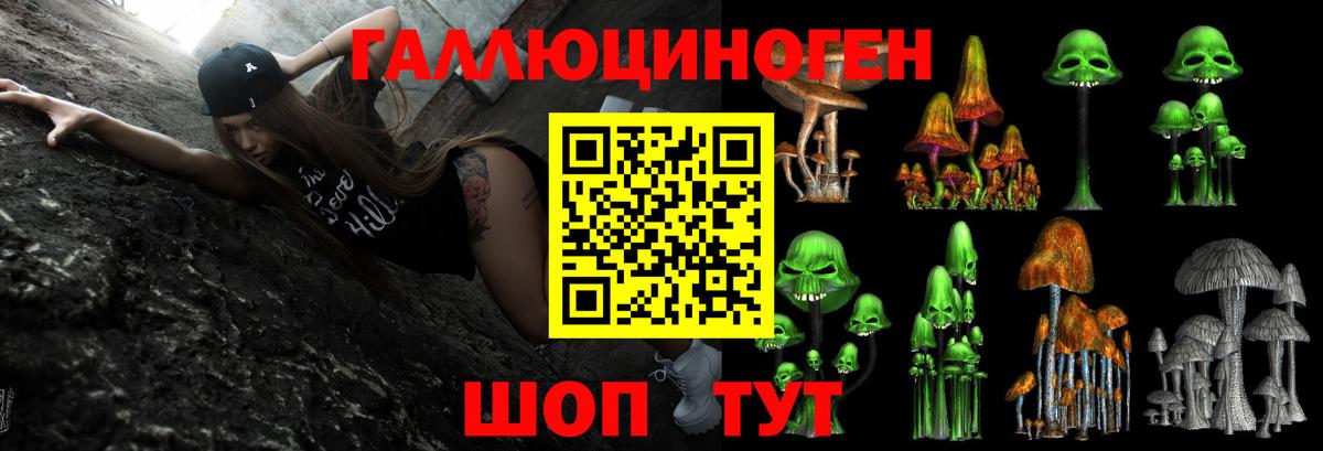 Псилоцибиновые грибы Cubensis  где купить наркотик  Кохма  Галлюциногенные грибы Psilocybine cubensis 